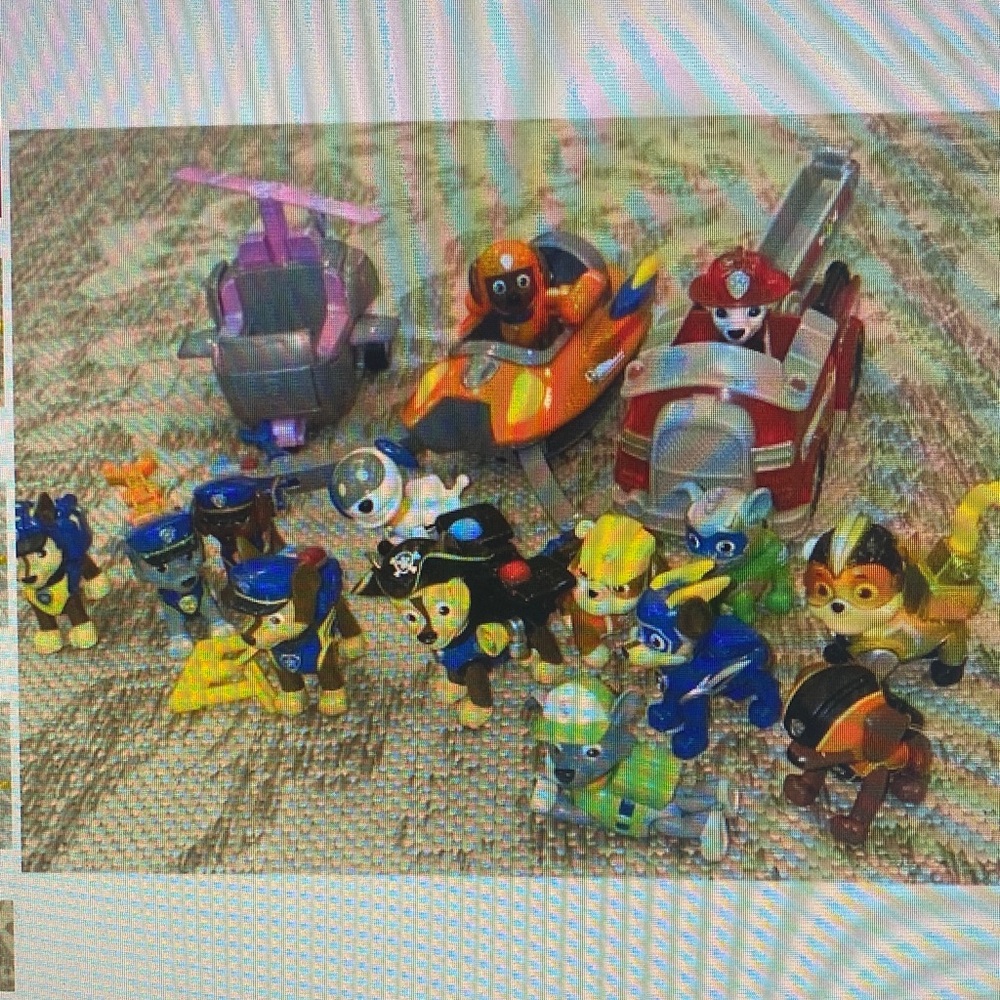 Paw Patrol Colorful Action Figure Playset